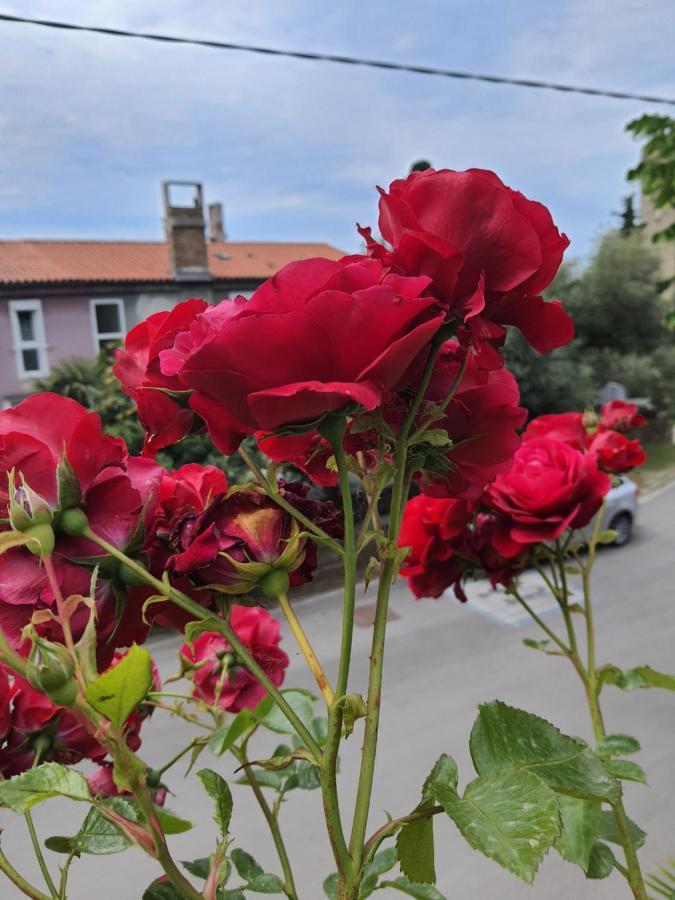Hotel Apartmaji, Sobe - Obzidje Piran Zewnętrze zdjęcie